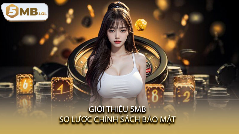 Giới thiệu 5MB sơ lược chính sách bảo mật
