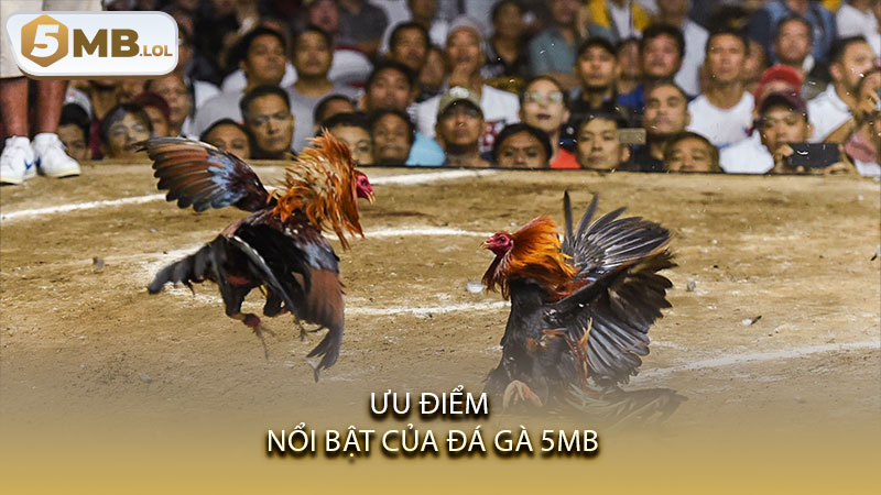 Uu-diem-noi-bat-cua-da-ga-5MB