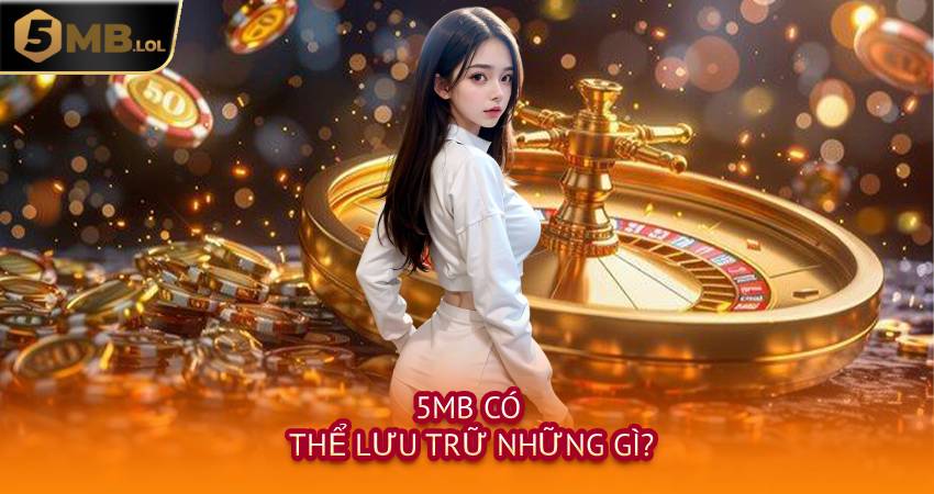 5MB Có Thể Lưu Trữ Những Gì?